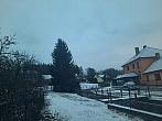 Olešná
