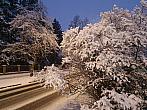 Chomutov