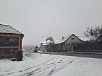 Olešná
