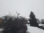 Olešná