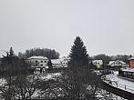 Olešná