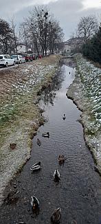 Český Těšín