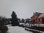 Olešná