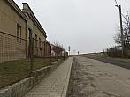 Třibřichy