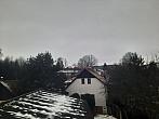Olešná