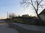 Třibřichy
