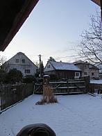 Třibřichy