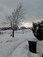 Skalité