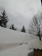 Skalité