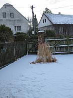 Třibřichy