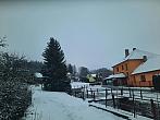 Olešná