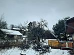 Olešná