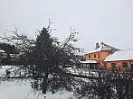 Olešná