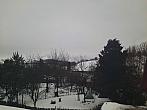 Olešná