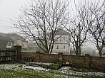 Třibřichy