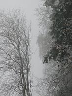 Němčice Zhoř
