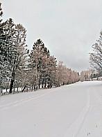 Světlá  Hora