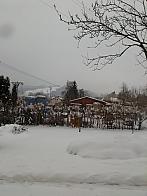Skalité