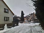 Olešná