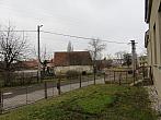 Třibřichy