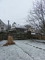 Třibřichy