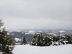 Hrčava