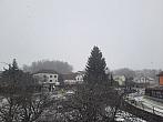 Olešná