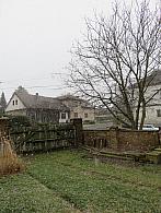 Třibřichy
