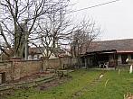 Třibřichy