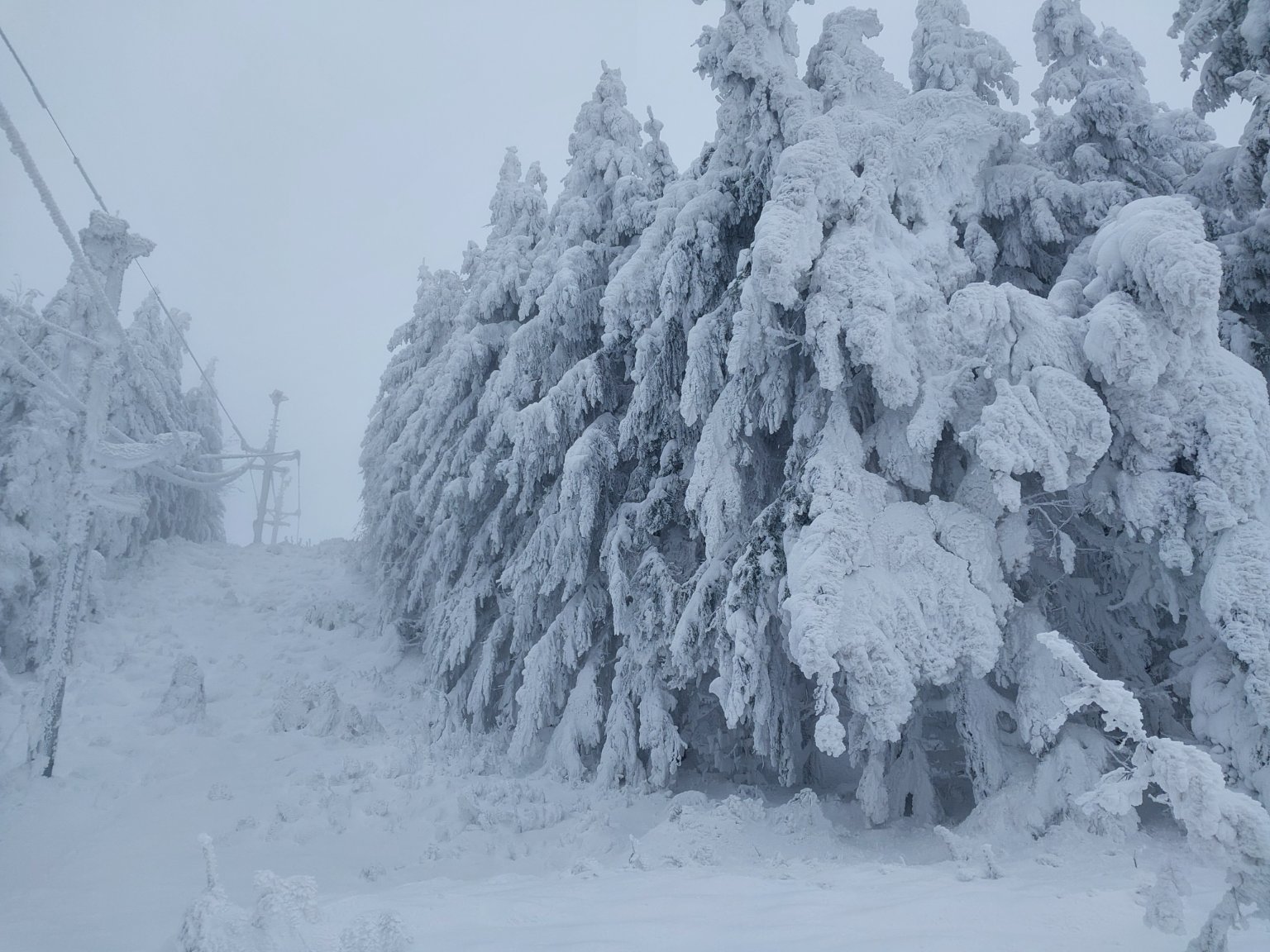 Severka 