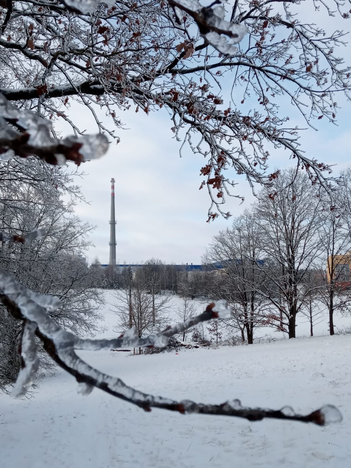 Velešín