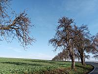 Lukovany