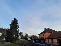Olešná