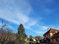 Olešná