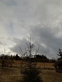 Skalité