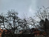 Olešná