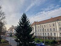 Český Těšín