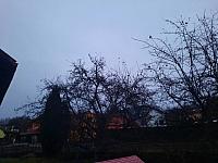 Olešná