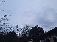 Olešná