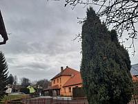 Olešná