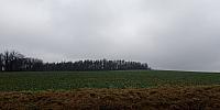 Lukovany