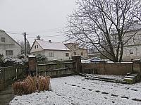 Třibřichy