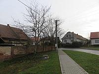 Třibřichy