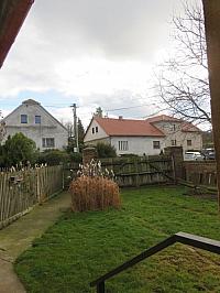 Třibřichy
