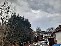 Olešná