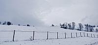 Holčovice