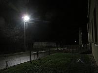 Třibřichy