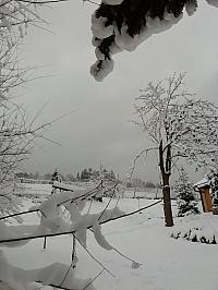 Skalité