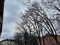 Jihlava