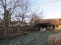 Třibřichy